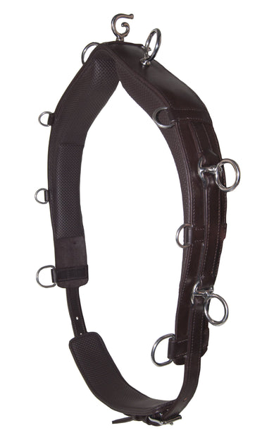 Waldhausen Lunging Surcingle with Handle - Eaglewood Equestrian Supplies