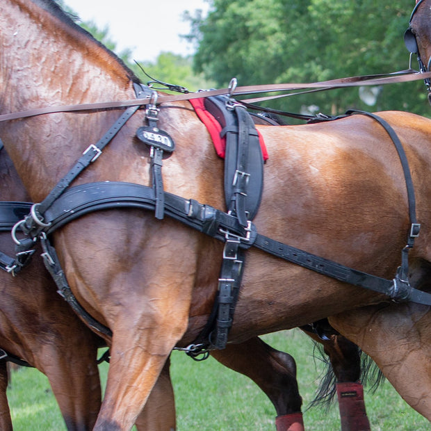 Zilco Classic Pair Horse Driving Harness, Horse Size, Black and Brown -  5644-4 - GOOD APPLE EQUINE