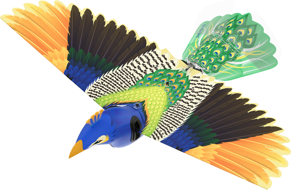 gogobird peafowl