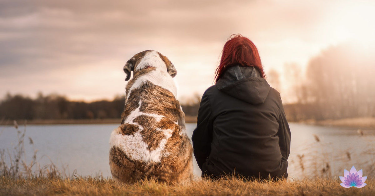 An empath lady heals herself and her dog pet at nature.