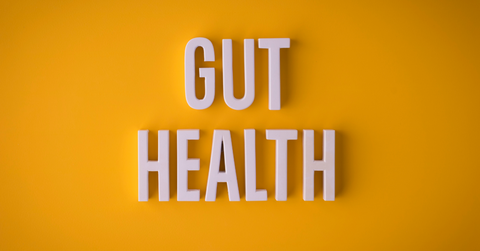 orange background with words "gut health" in white letters