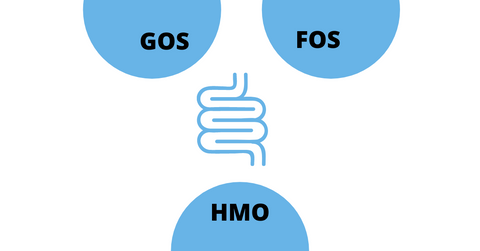 graphic of intestines with semi circles with text GOS, FOS and HMO