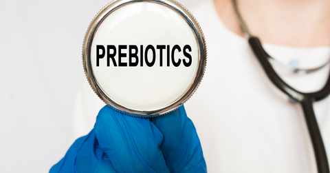 magnifying glass with the word "probiotics" inside 