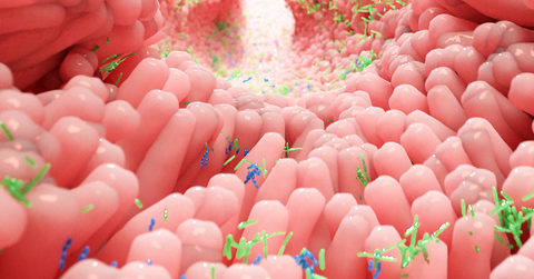 simulation of microbiome with pink microflora