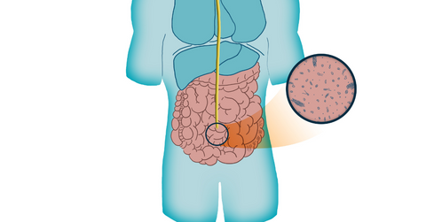 illustration of gut microbiome inside human body 