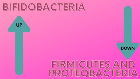 Pink graphic with green arrows about gut bacteria. 