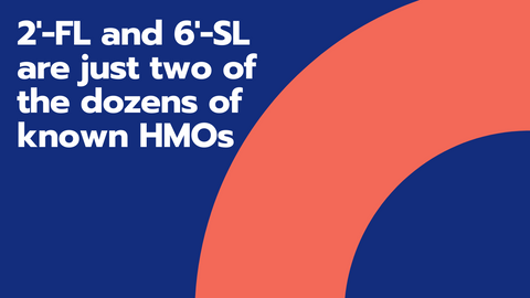 Blue graphic with orange arch discussing HMOs