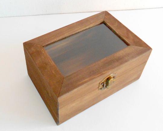 Small wooden display box- rectangular box with glass cap- box with bro -  Exiarts & Ecocrafts
