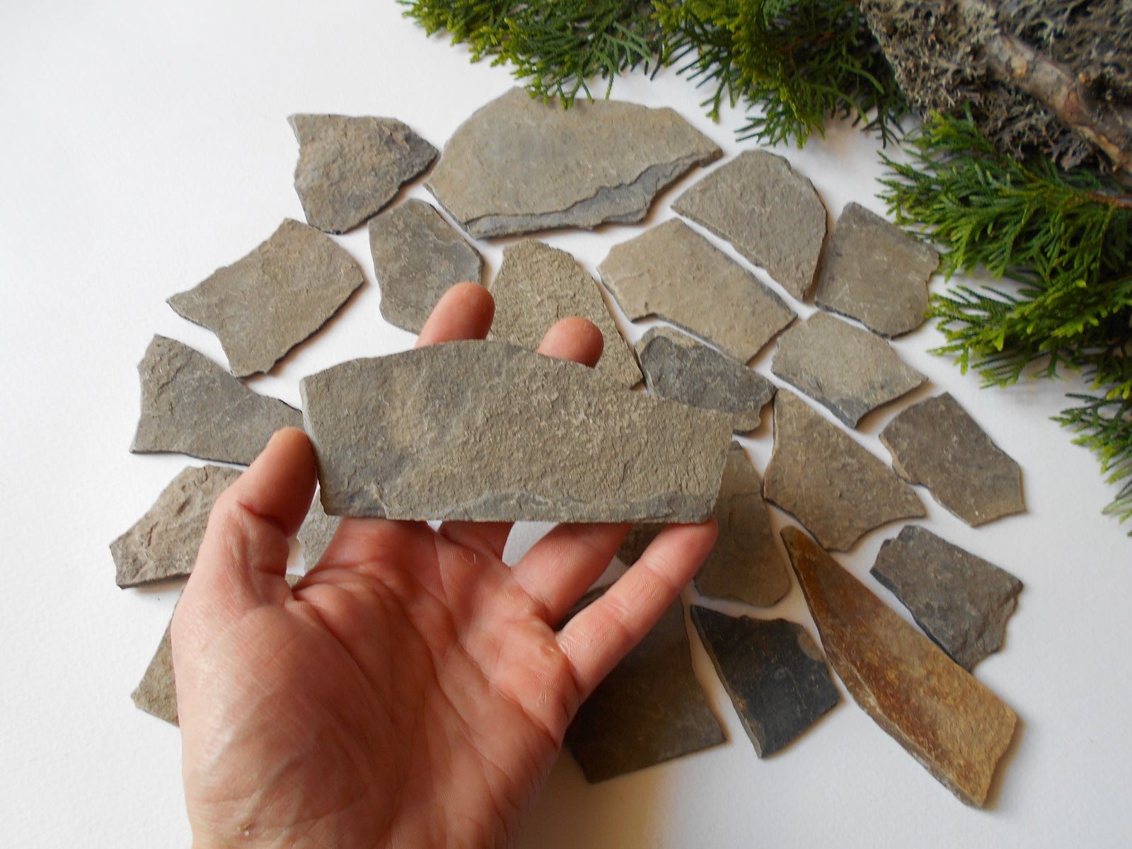 Fairy Garden Stones- set of 10 Flat Rocks- 1 to 2 inch ( 2.5 to 5 cm. )-  Mountain stone plates- rock plates- Beach Stone Supplies- Terrarium supplies