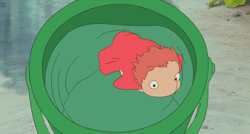 Wash and Care Instructions GIF from Ponyo - Catori Clothing