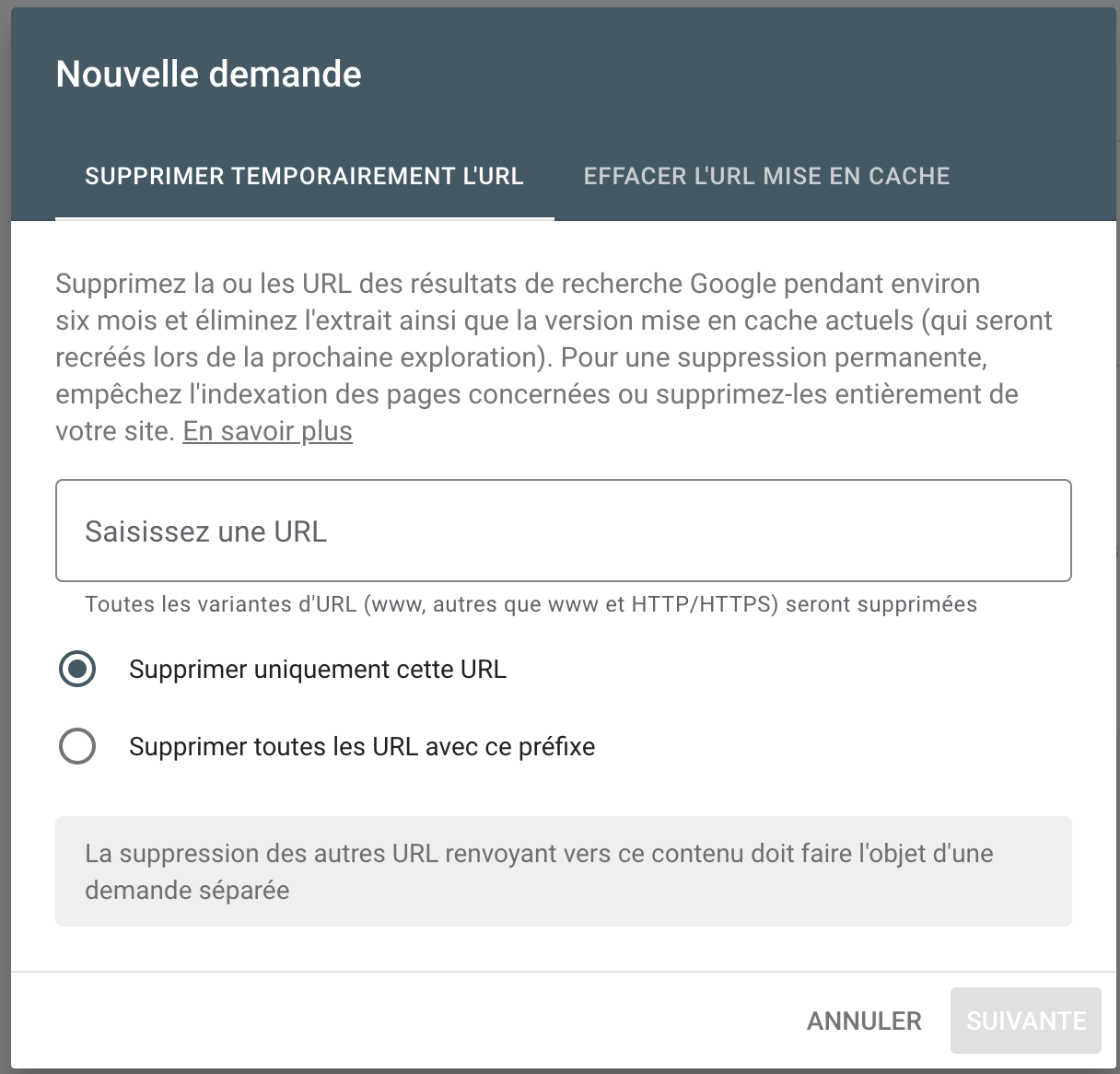 demande de suppression d'url Google