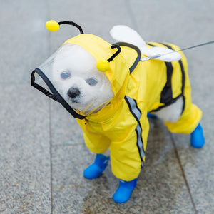 dog rain boots and raincoat