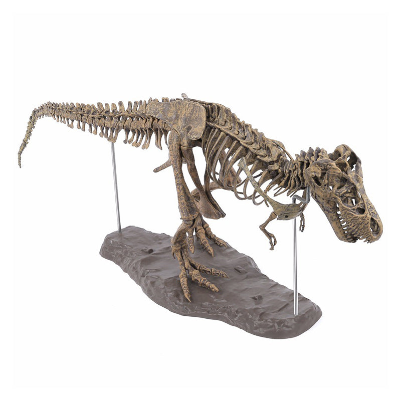 Rex Dinosaur Skeleton Toy – Targen