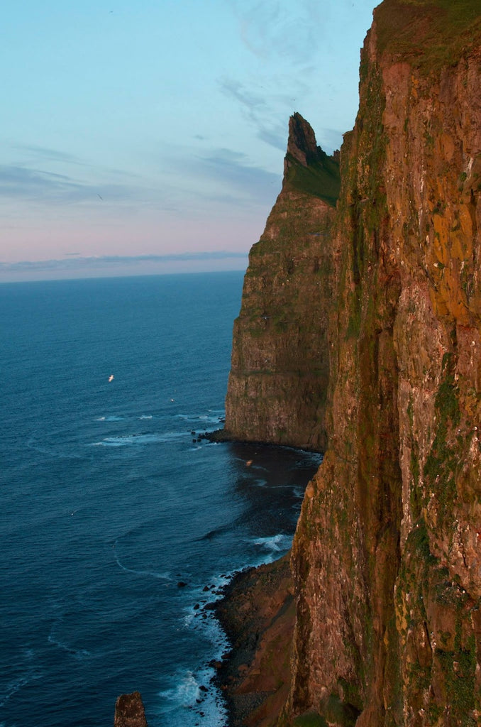 Bird Cliffs in Iceland
