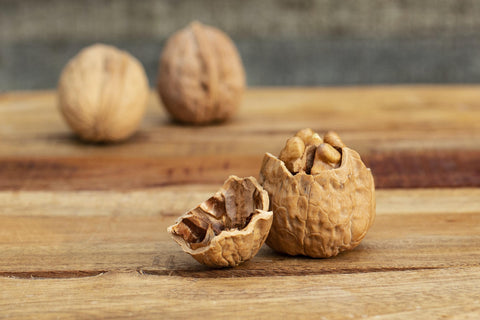 walnut brain food