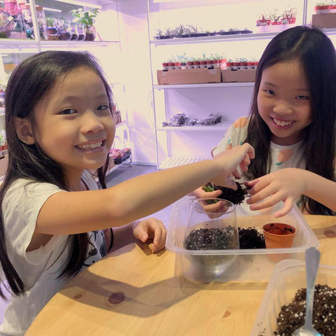 Terrarium Workshop to Celebrate Children's Day in Lush Glass Door Studio at Oxley Tower #03-16 