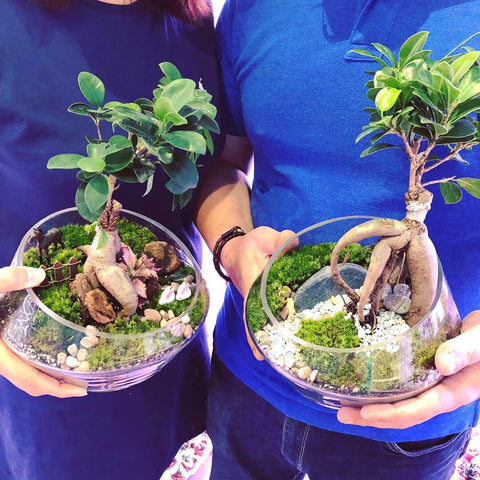 couple attending terrarium workshop at Lush Glass Door