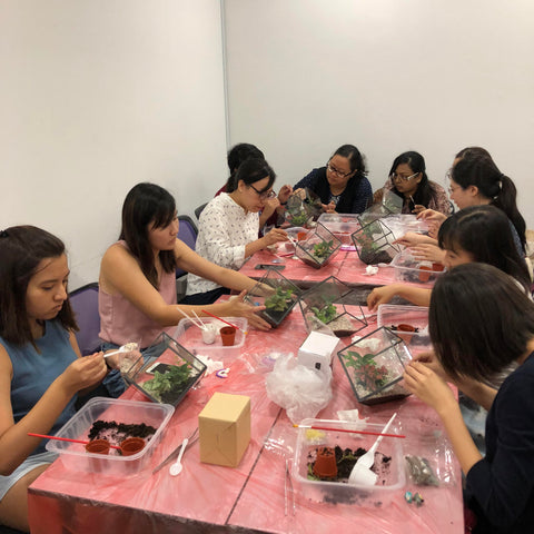 Terrarium Workshop With NTU SOH Alumni Association