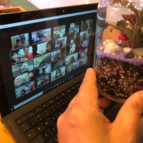 Virtual Online Terrarium Corporate Workshop with Greenridge Secondary School