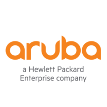 corporate team bonding terrarium workshop with Aruba Hewlett Package