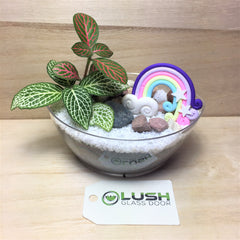 Corporate Plastic Bowl Shaped Terrarium Workshop by Lush Glass Door