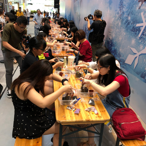 Christmas Terrarium Workshop at Orchard Central