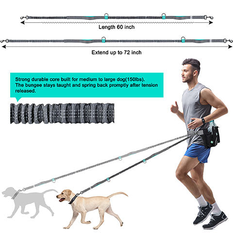 long lead with stretch. superb hands free, dog running lead set