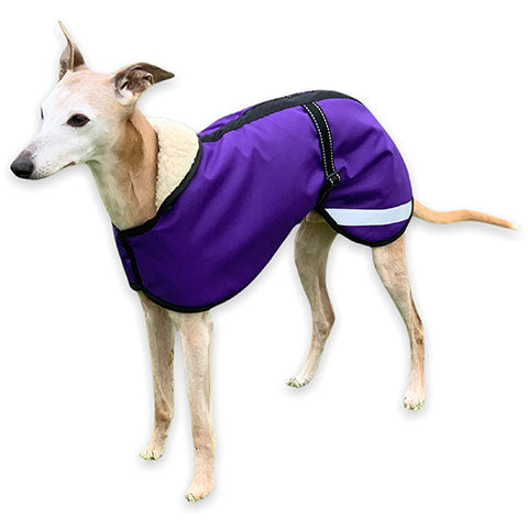 new purple waterproof whippet coat - new for 2021 season