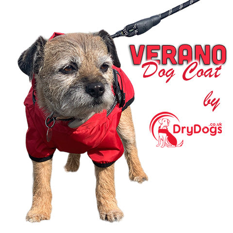 Verano dog coat by DryDogs.co.uk