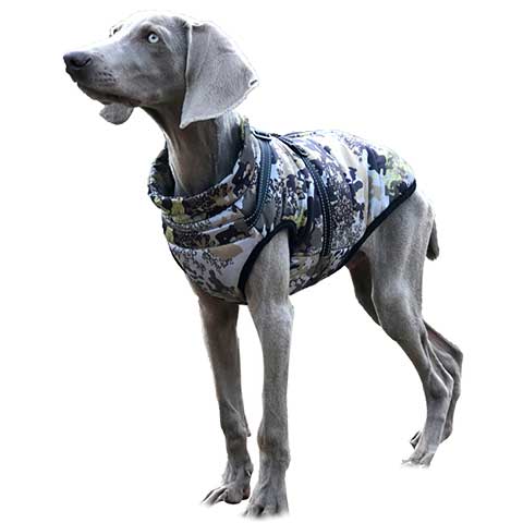 camouflage dog coat with built in harness