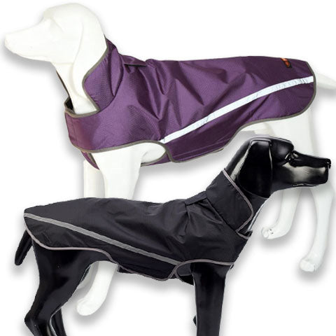 lightweight dog coat with reflective strips, waterproof skin and leg straps