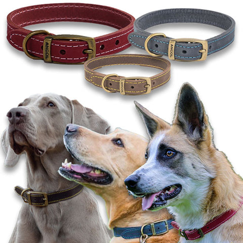 Leather collars and leads. Timberwolf range. Made in the UK