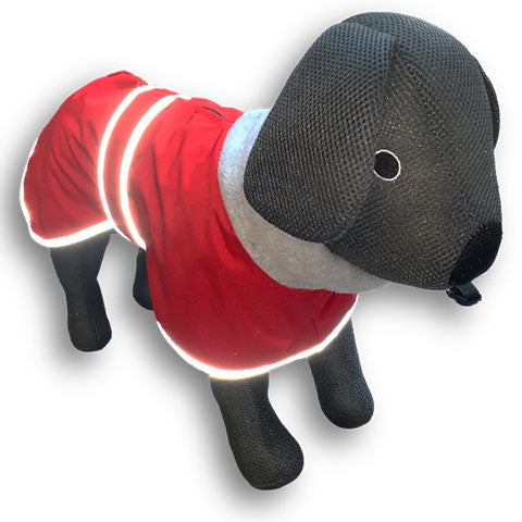 Reflective whippet coat with harness hole