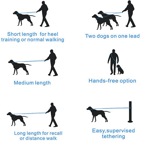 dog training leash - ways to use this multifunction lead