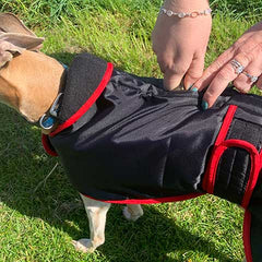 warm whippet coat with zip harness hole