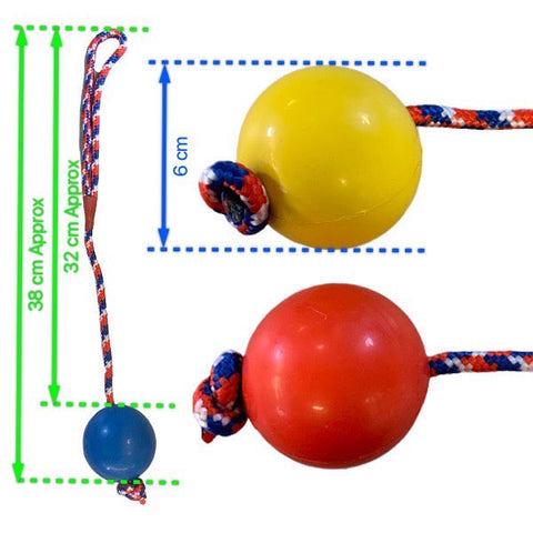 Rubber ball on rope dog toys