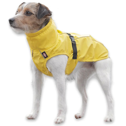 Lightweight dog coat. Waterproof, with leg straps and harness hole