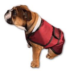 english bulldog coat with underbelly protection