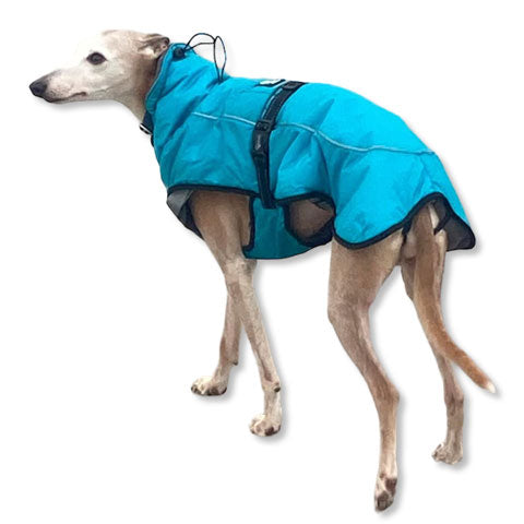 best greyhound coat with harness hole