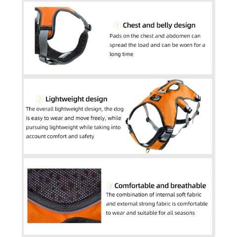 whippet puppy harness to large sighthound harness - details