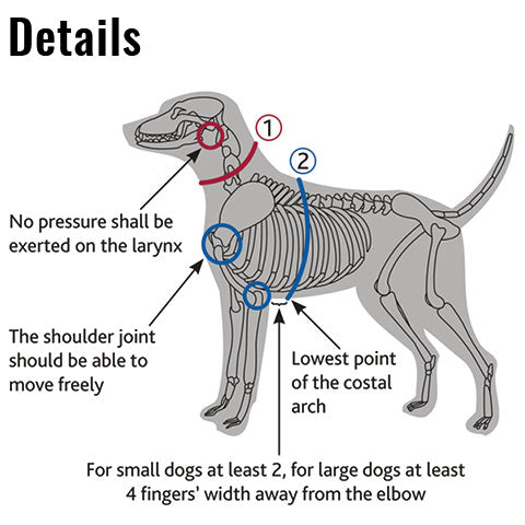 Fitting guide for Julius-K9 dog harness