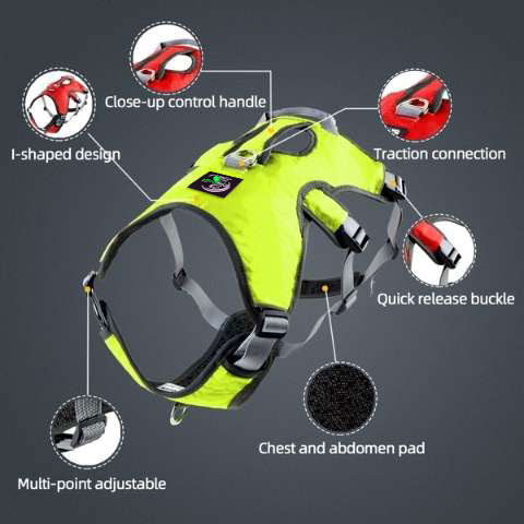 Features of our multi-point lead attachment sighthound harness