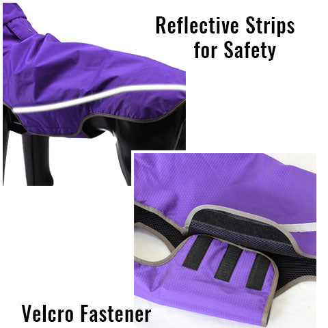 reflective strips for safety and velcro fastening make this dog coat a superb lightweight coat