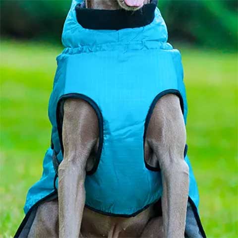 whippet coat with belly protection