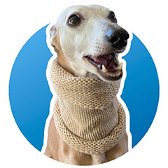 Wool whippet snood - two colours - neck warmer / scarf