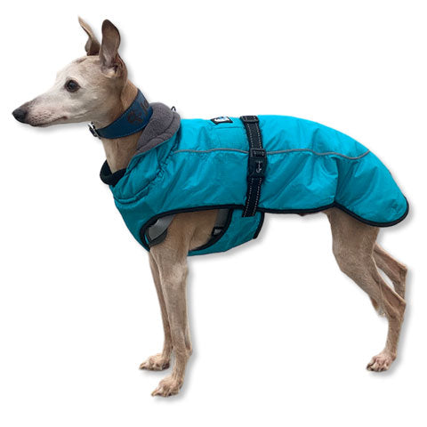 whippet coat - super warm for winter