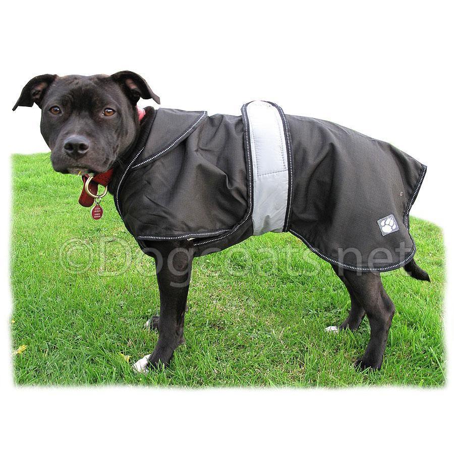 staffordshire bull terrier winter coats