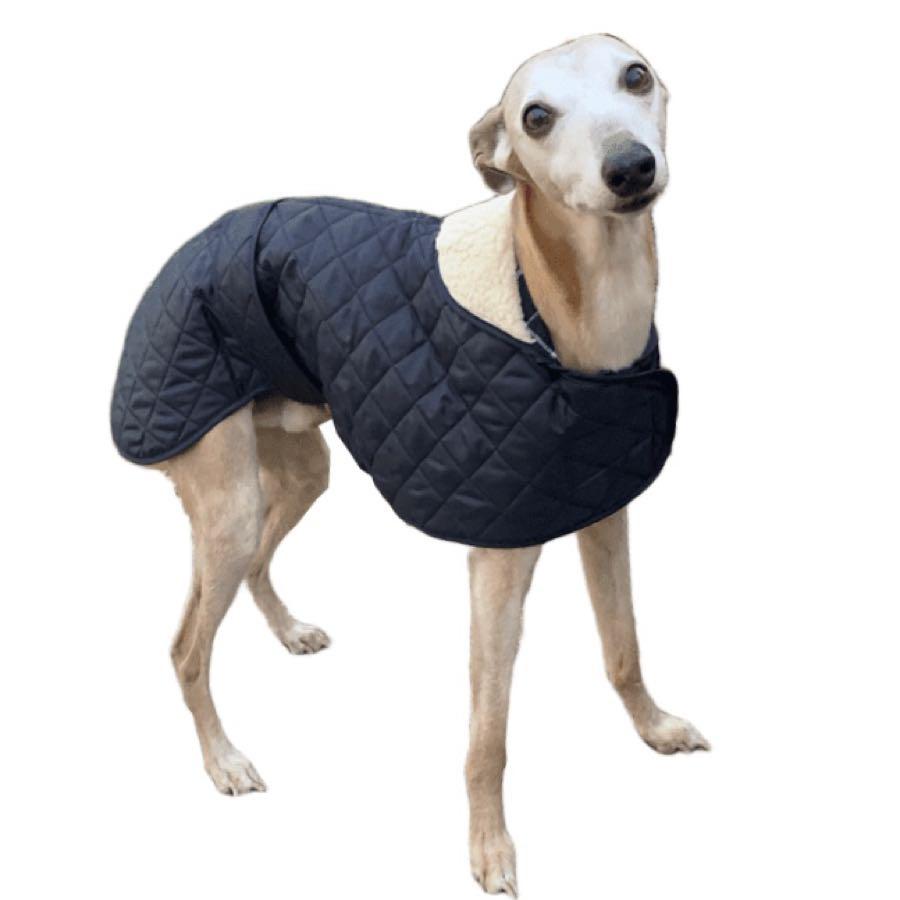 Quilted Greyhound / Whippet Coat. Dog Coats for Sighthounds