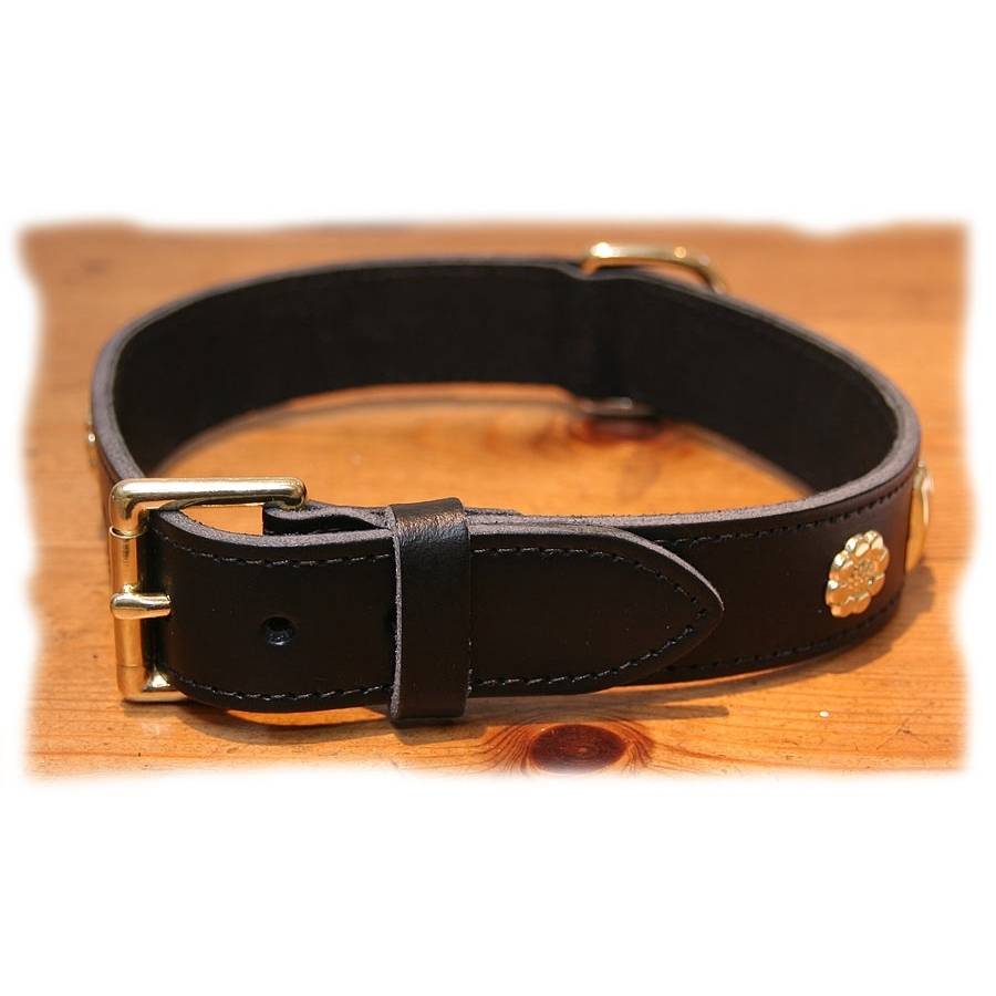 black leather collar