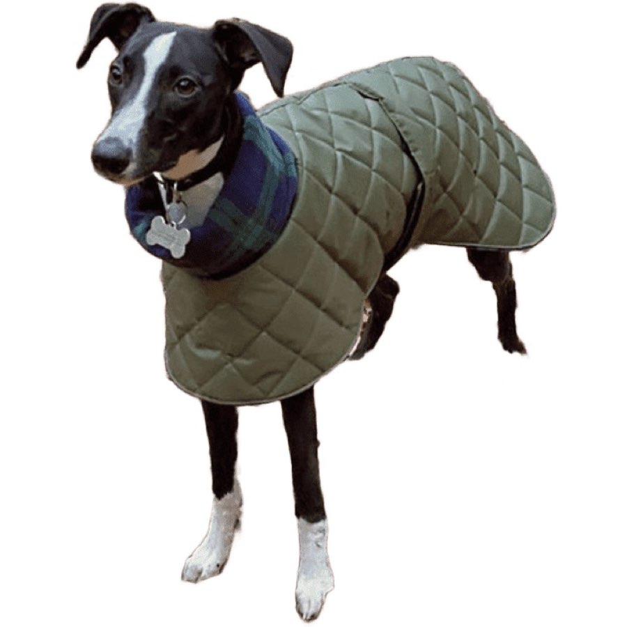 Quilted Waterproof Whippet Coats with harness hole - Made to Measure